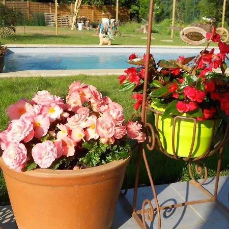 Villa Un Bouquet De Tangissart Villepinte  Esterno foto