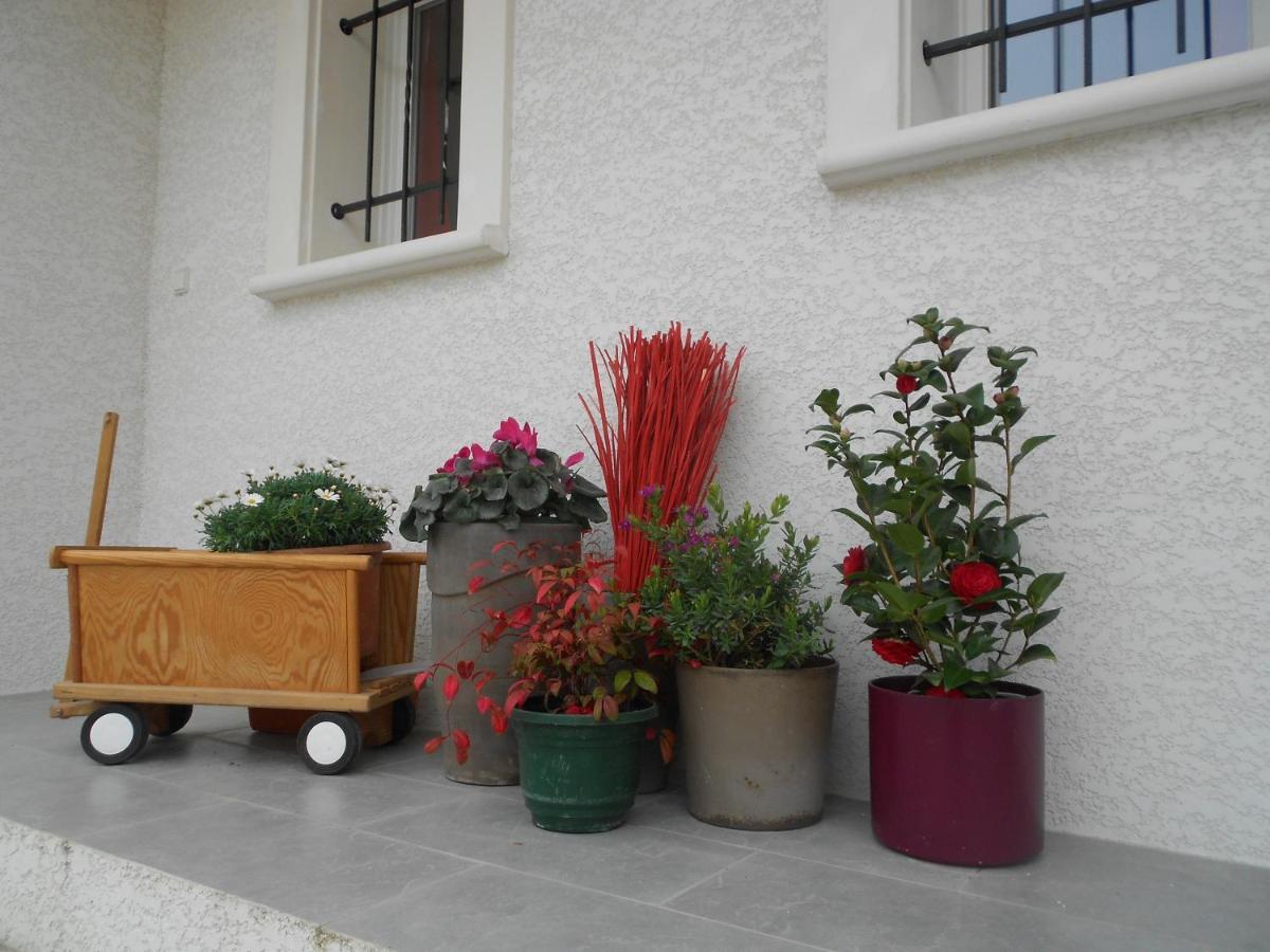 Un Bouquet De Tangissart Hébergement de vacances Villepinte (Aude)